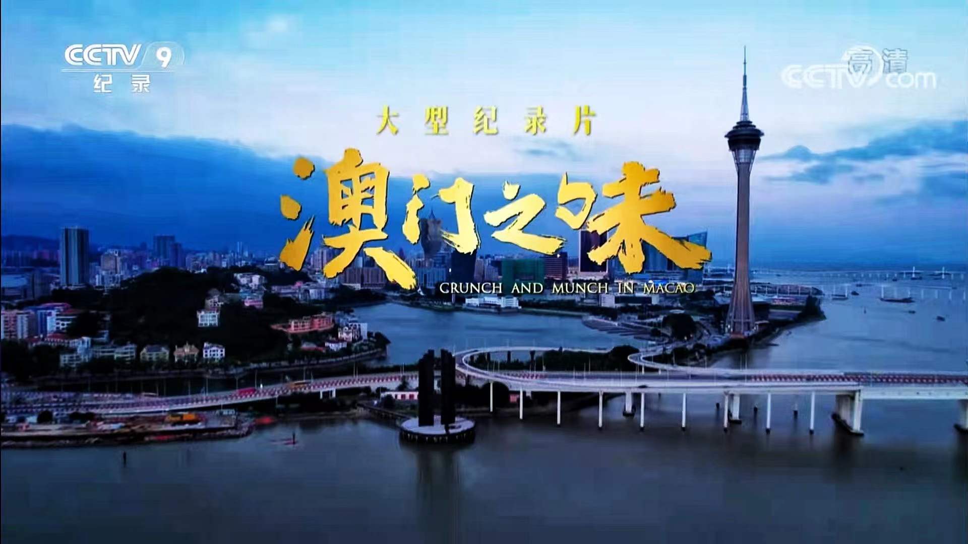 澳門在線視頻，探索與沉浸體驗