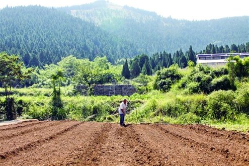 農(nóng)村荒山承包新政策，推動綠色發(fā)展的強(qiáng)大動力源泉