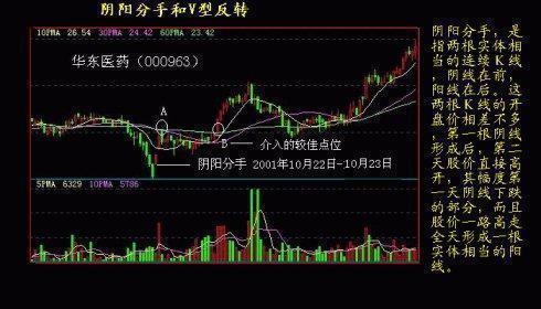 2024澳門特馬今晚開什么,以下是一個澳門特馬預測的案例分析：