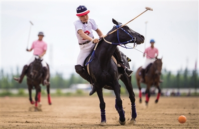 2024年澳門特馬今晚開碼,賽馬是一項(xiàng)充滿激情的運(yùn)動(dòng)