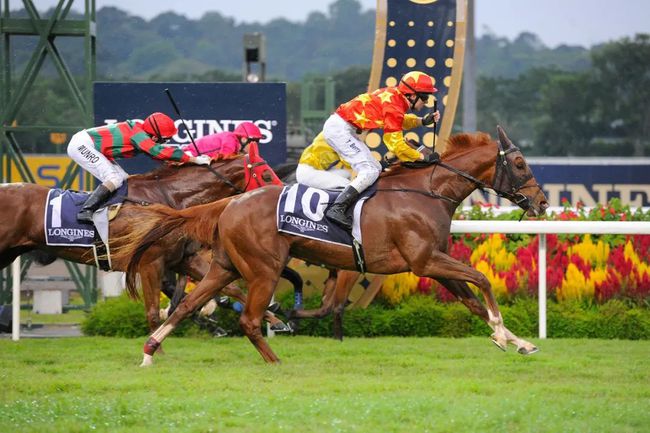 今晚澳門馬出什么特馬,#### 1.2 賽馬訓(xùn)練