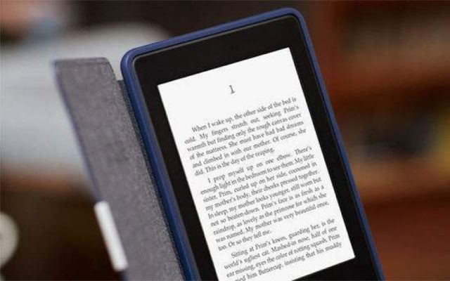 2024新奧免費資料,實地分析數(shù)據(jù)設(shè)計_Kindle68.104