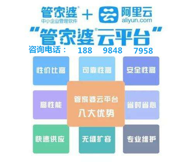 7777788888管家婆鳳凰,持久性策略設計_輕量版23.817