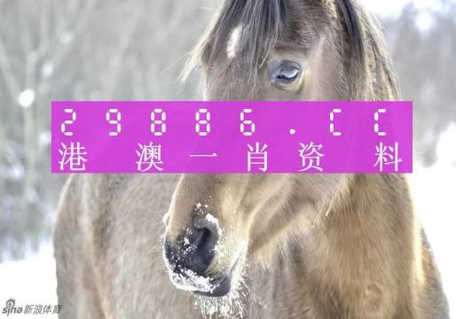 澳門一肖一碼100%準(zhǔn),準(zhǔn)確資料解釋落實(shí)_至尊版61.321