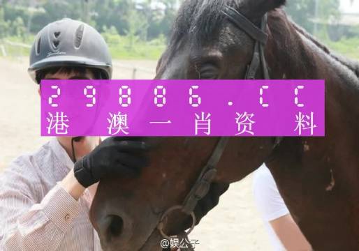 澳門(mén)一肖一碼一必中一肖同舟前進(jìn),平衡指導(dǎo)策略_Premium82.700