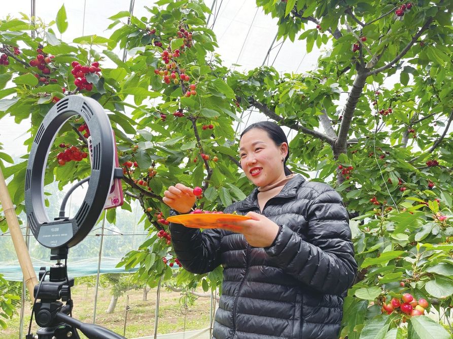 櫻桃直播注冊，全新互動娛樂體驗開啟